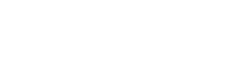 Primary Logo Black