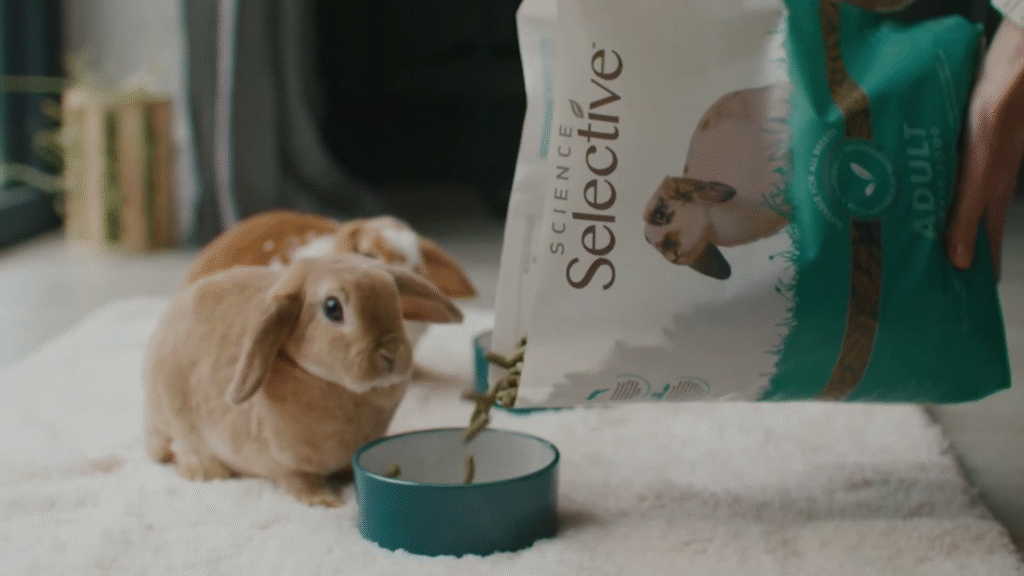 Pet Food Still